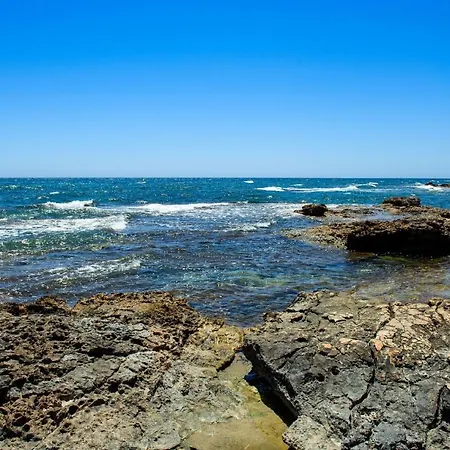 Roza Punta Prima